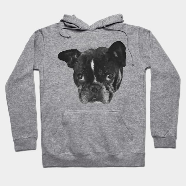 Boston Terrier Dog Painting Hoodie by Arteria6e9Vena